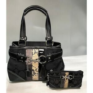 Y2K Coach 10262 Hamptons Signature Python Stripe Satchel Bag & Pouch